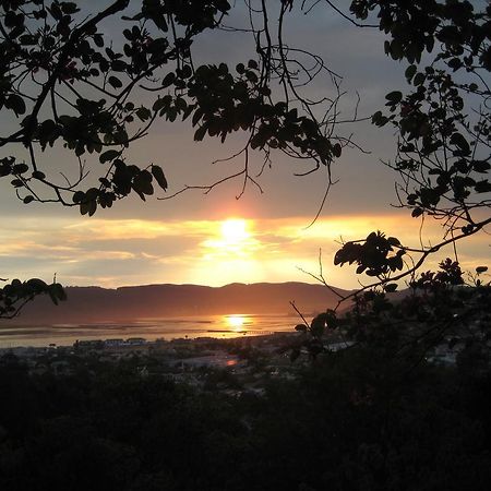 Mount Joy Cottages Knysna Exteriör bild