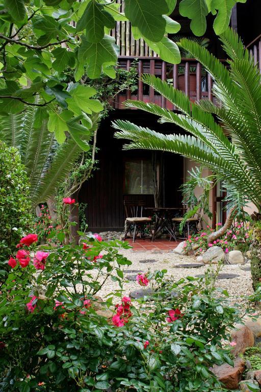 Mount Joy Cottages Knysna Rum bild