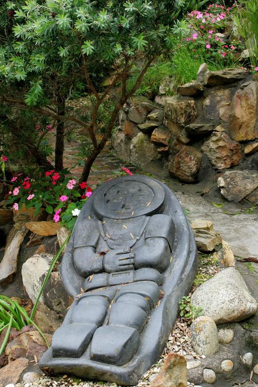 Mount Joy Cottages Knysna Rum bild