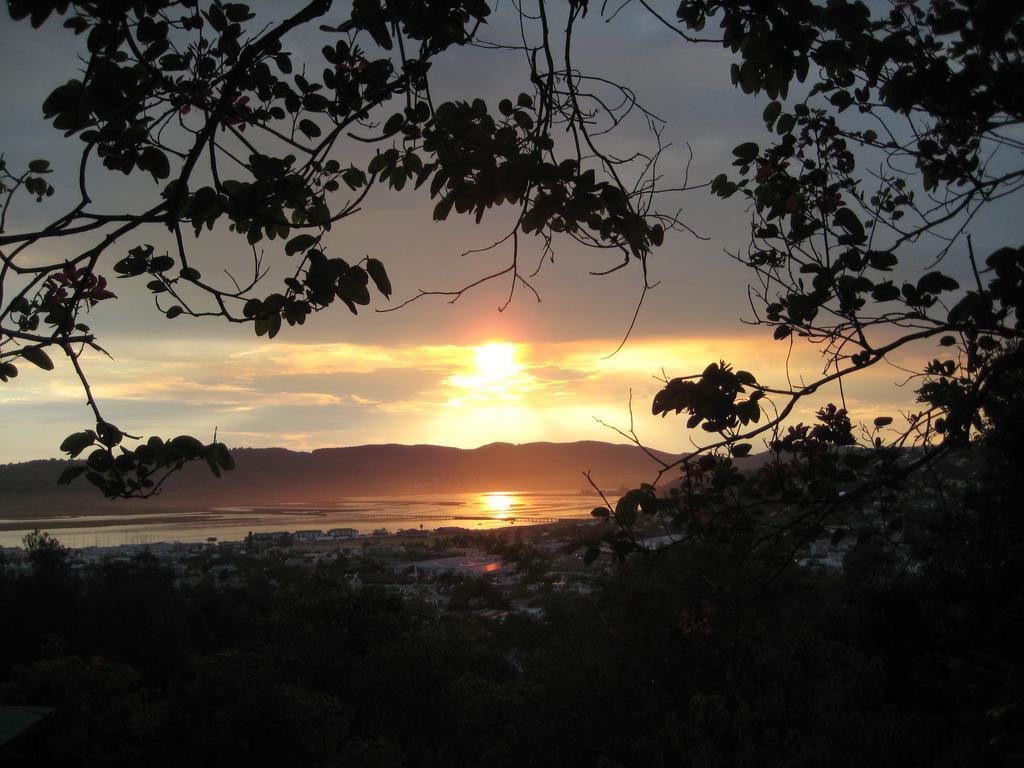 Mount Joy Cottages Knysna Exteriör bild